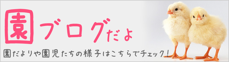 はやし幼稚園ブログ